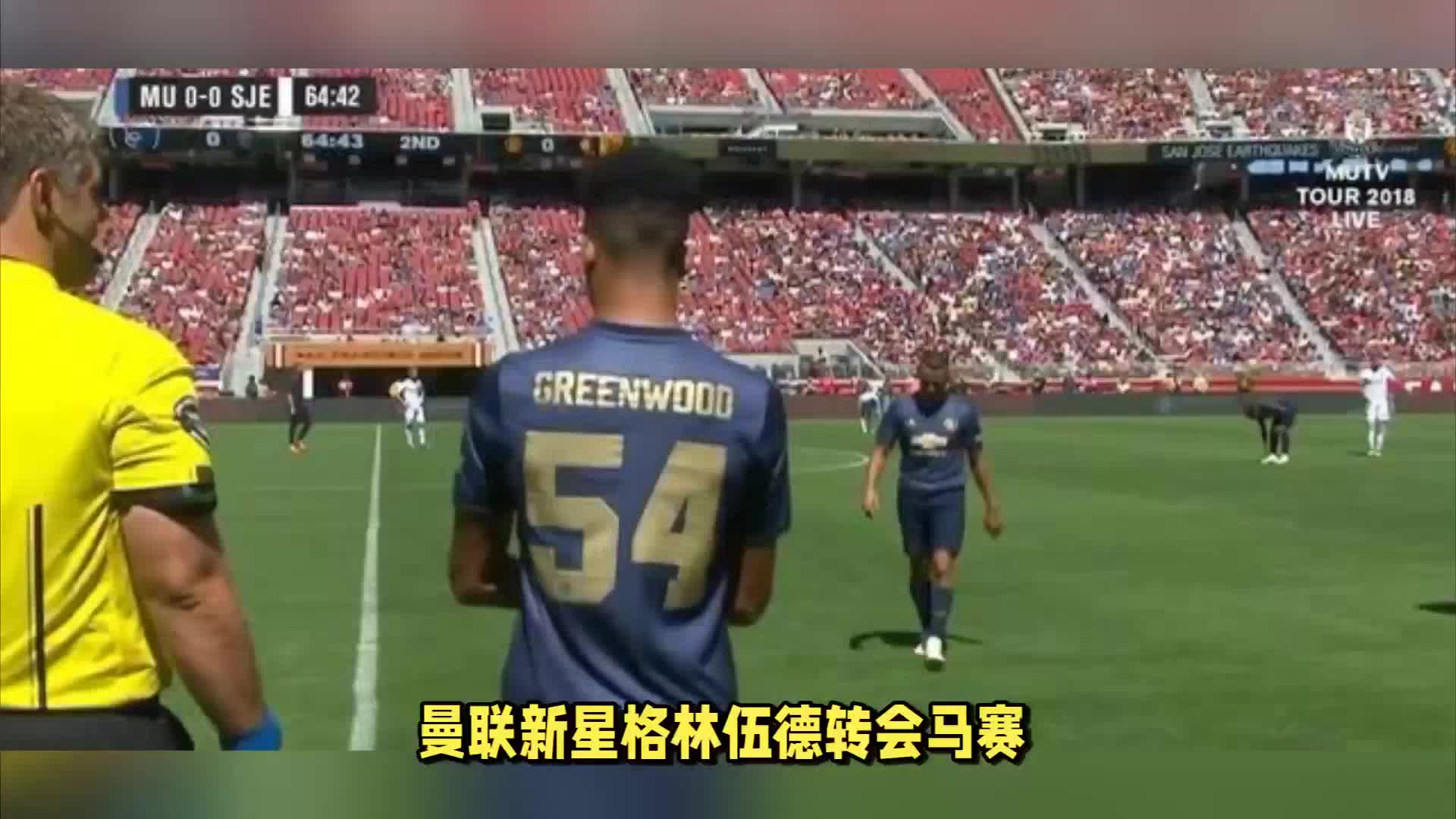 條行